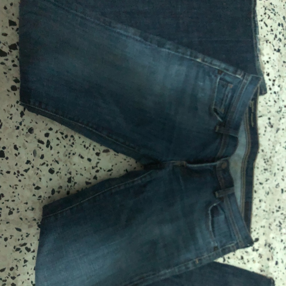 Low Wait Flair Citizens for Humanity Size 30